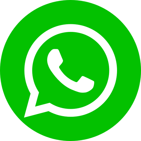 icone-logo-whatsapp-vert